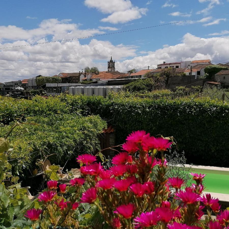 Villa O Ze Ja Dormiu Aqui à Celeiros Extérieur photo