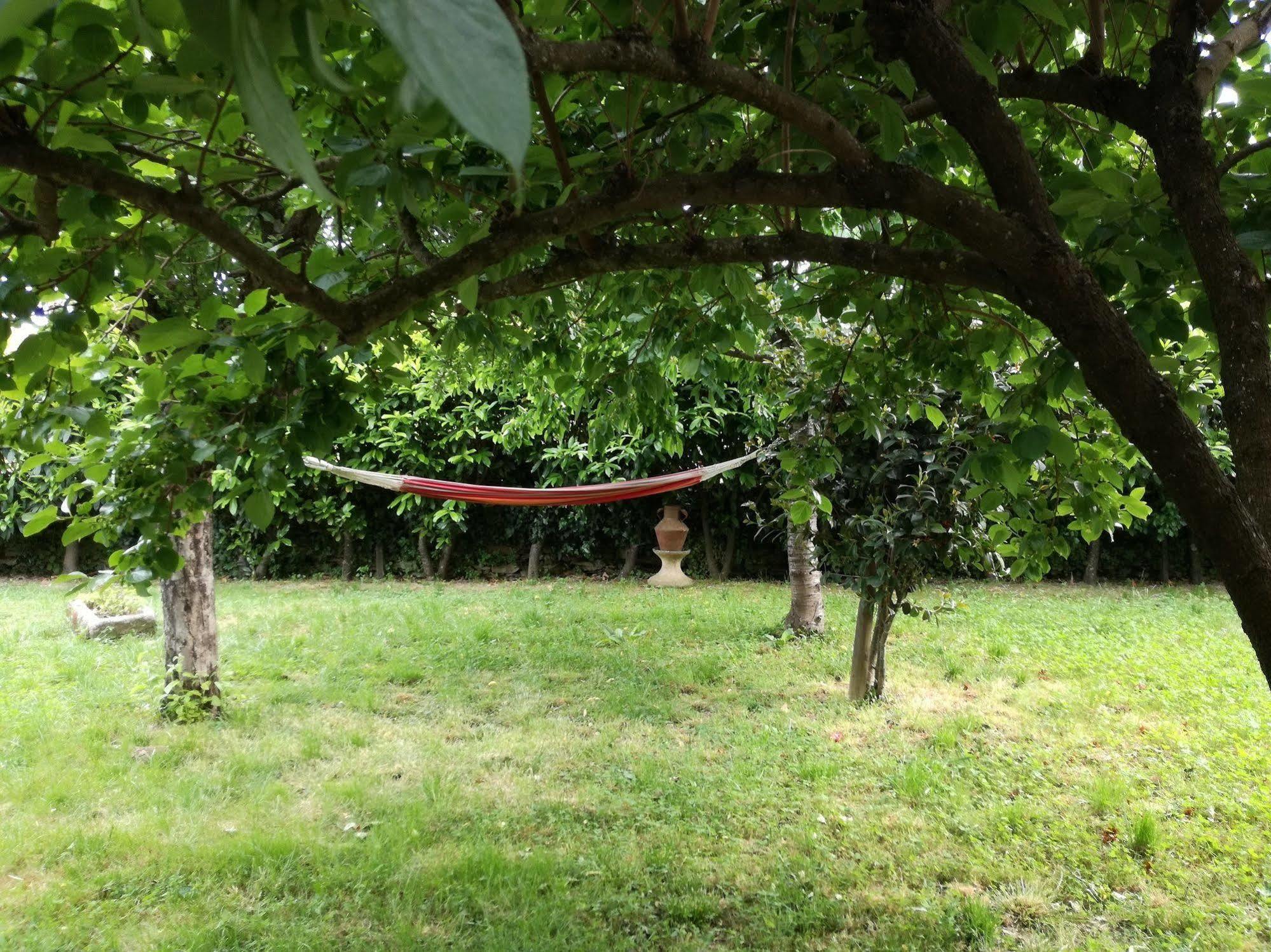 Villa O Ze Ja Dormiu Aqui à Celeiros Extérieur photo